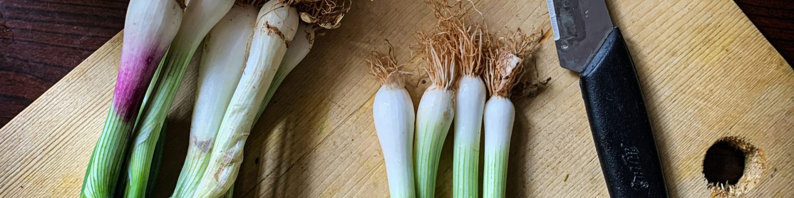 riki-lifestyle-GwfWpxy77Cc-unsplash